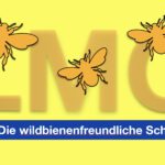 Eine wildbienenfreundliche Schule - Jetzt ist es endlich soweit!