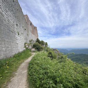 FrAu22025_00015