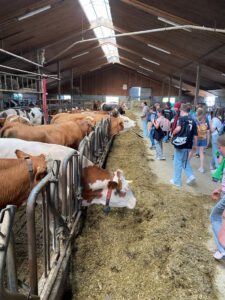 Bild1 Schüler erkunden Stall